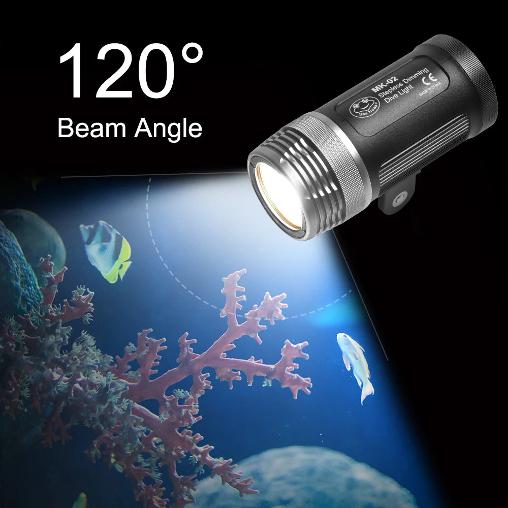 Black and silver cylindrical LED dive light with 120-degree wide beam angle, shown illuminating an underwater reef.
