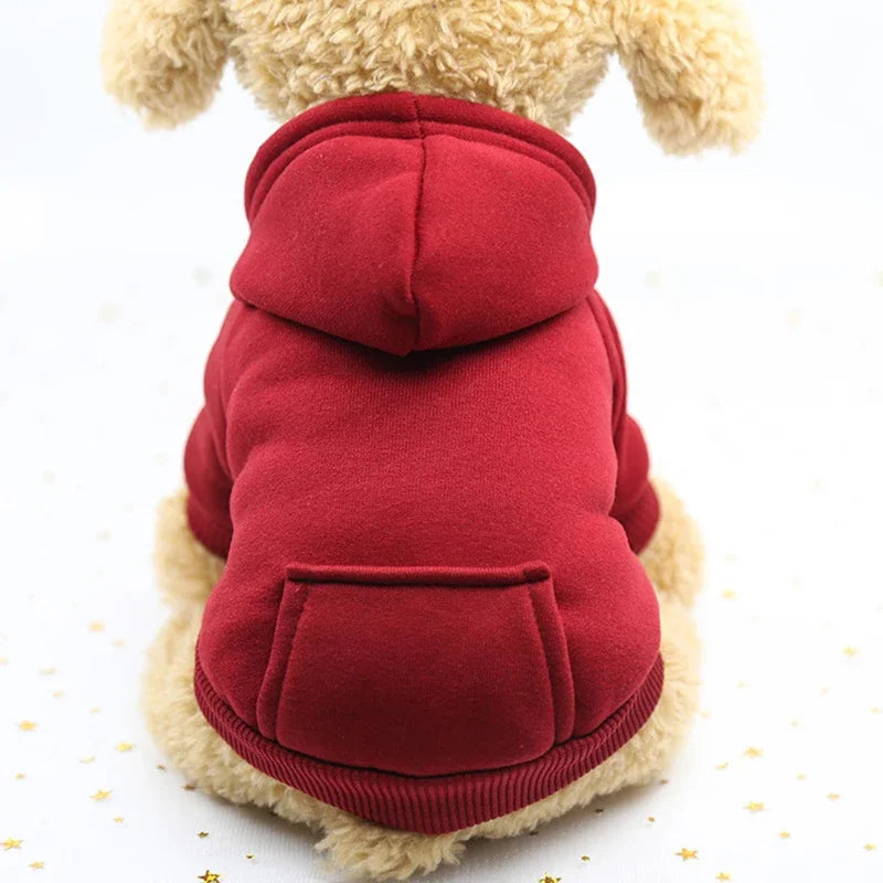 Small dog wearing a thick, warm red hooded sweatshirt for winter—cozy, casual two-feet pet apparel for cold weather.