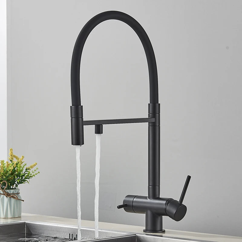 Filtered Kitchen Faucets Dual Spout Filter Faucet Mixer Pull Out Spray 360 Rotation Water Purification 3 Ways Sink Mixer Kitchen