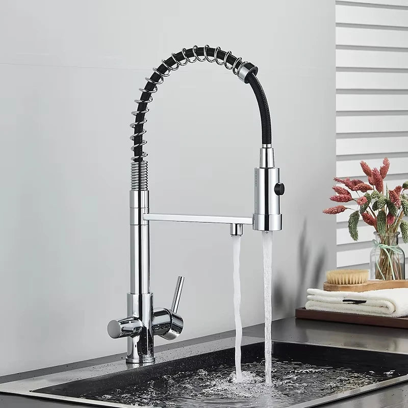 Filtered Kitchen Faucets Dual Spout Filter Faucet Mixer Pull Out Spray 360 Rotation Water Purification 3 Ways Sink Mixer Kitchen