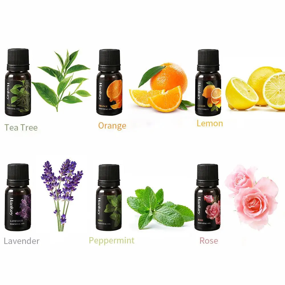 12 Flavors 10ml Essential Oils for Aroma Diffuser Air Humidifier Home Water-soluble Lavender Vanilla Orange Olive Fragrance Oil