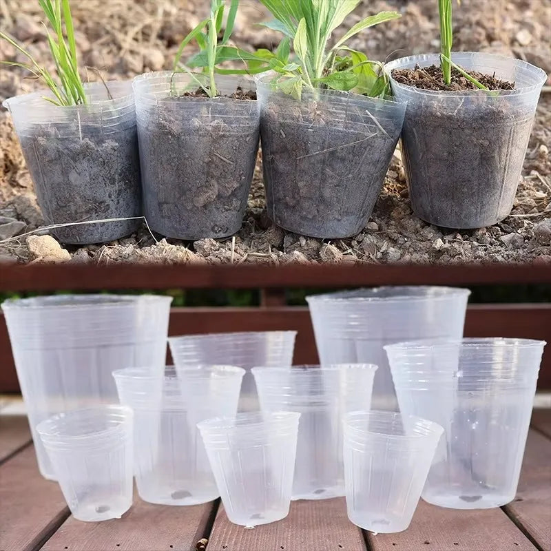 10/50Pcs Transparent Flowerpot Plant Nursery Pot Seedling Cup Gardening Transplantation Potted Flower Pot Planter Gardening Tool