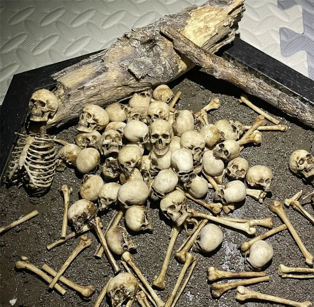 Miniature faux skeleton lizard bones for aquarium or terrarium decor. 1:12 scale beige skull and bone set.