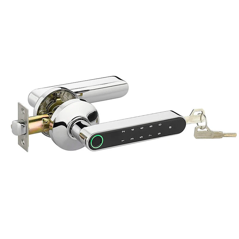 Bluetooth Tuya Smart Fingerprint Lock Lithium Battery Electronic Handle Lock Key For Wooden door