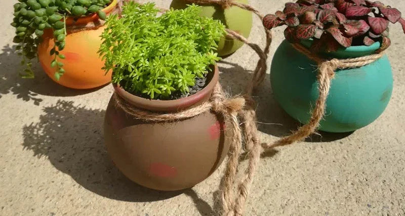 Multiple ceramic hanging flowerpots with succulents: orange, brown, and teal