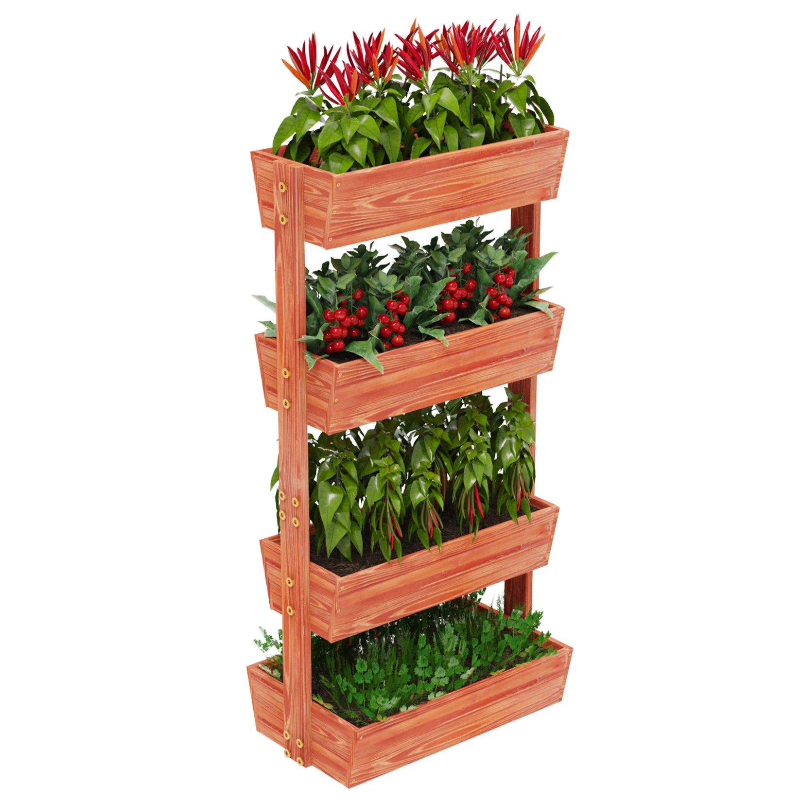 Reddish brown 4-tier vertical raised wooden planter box with planted herbs and berries