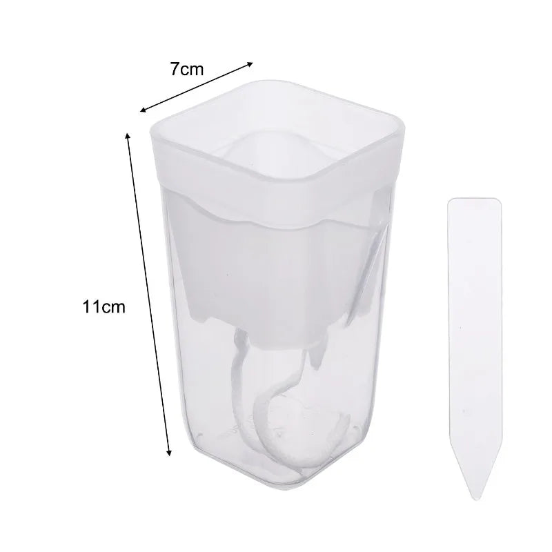 Transparent self-watering planter 7x11cm with separate inner piece for reservoir