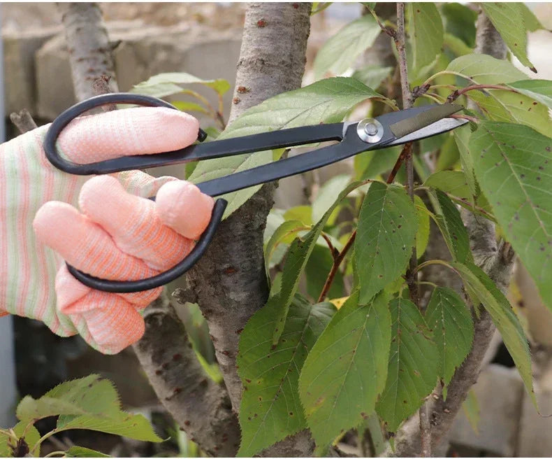 Professional Steel Long Handle Bonsai Scissors Plant Branch Shears Gardening Pruning Bonsai Scissors Flowers Plant Grafting Tool