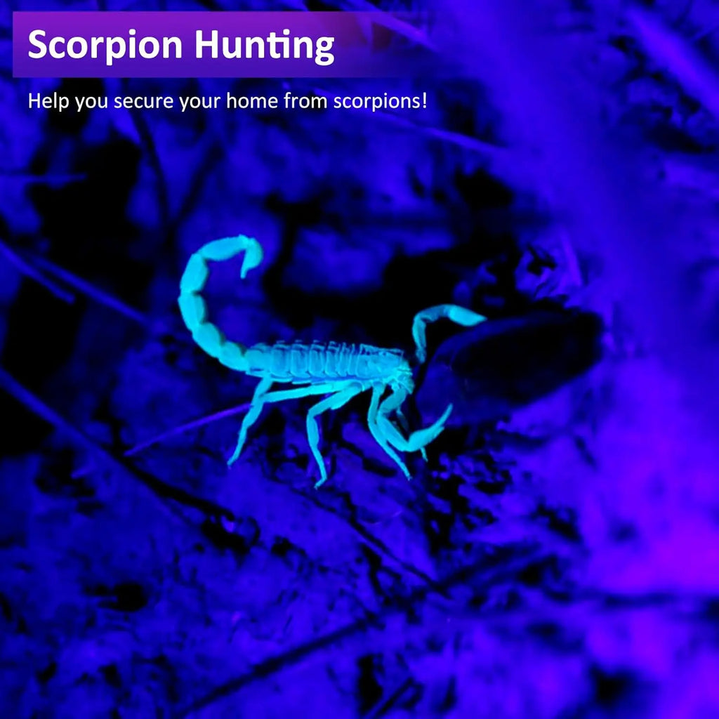 120W rechargeable UV flashlight detecting a glowing scorpion to keep your home safe from pests.