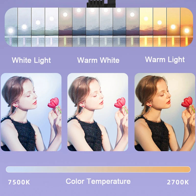 LED Video Light Panel | 50W Bi-Color Studio Lamp for Content Creation Tidesmit