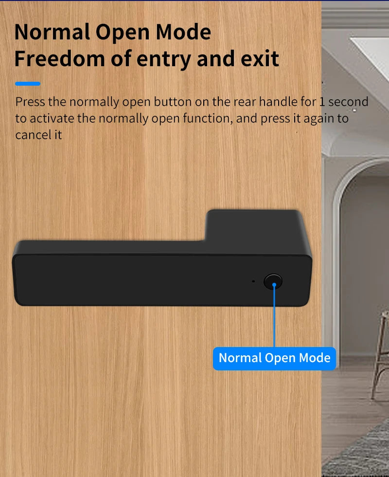 European Handle Door Fingerprint Lock Hidden Keyhole Tuya for Bedroom Study Magnetic One-word Minimalist Ecological Silent Lock