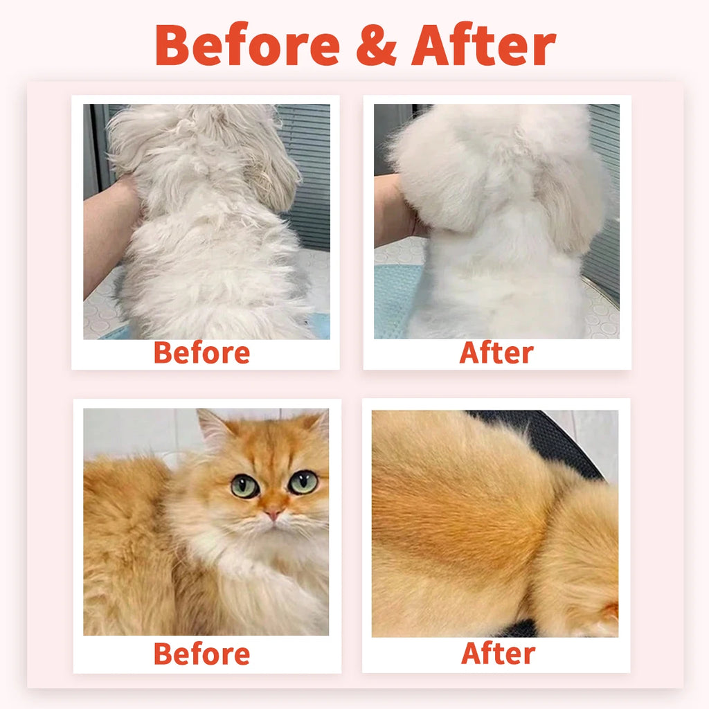 Before and after showing dogs and cats using natural hydrating conditioner for a soft, shiny, and detangled coat.