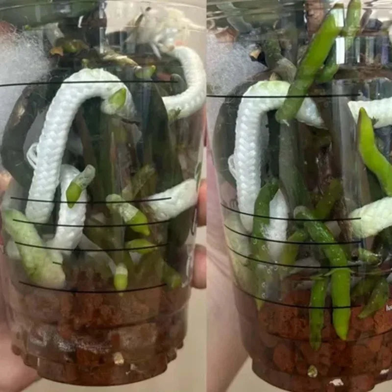 Self Watering Wick Cord Cotton String Rope DIY Automatic Watering Absorbent Wicks Rope Potted Plant Auto Drip Irrigation Waterer