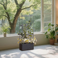 Planter Box with Trellis Plant Pot Vertical Gardening Self Watering Tomato