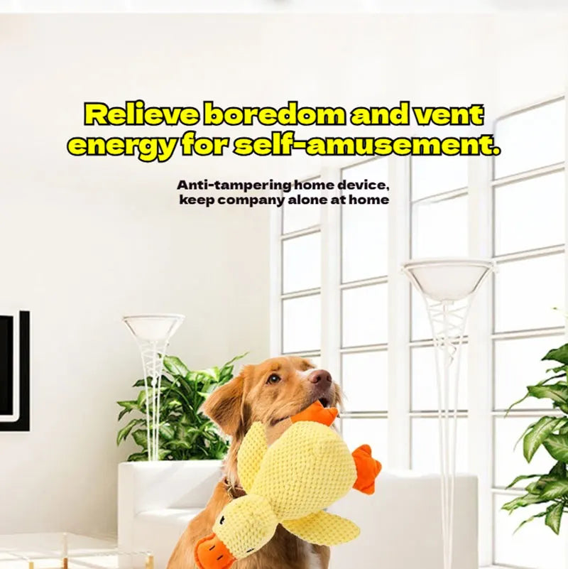 Dog playing with a bite-resistant yellow plush duck toy to relieve boredom and provide companionship at home.