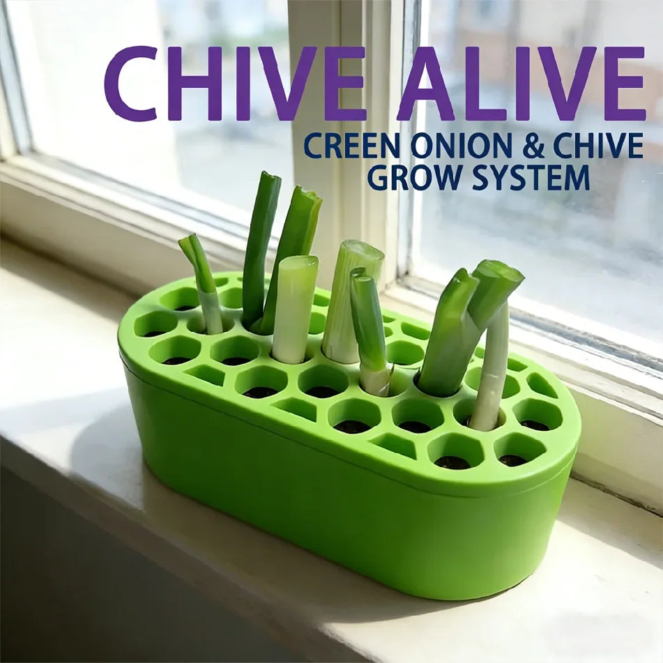 Green Onion Regrow Kit Easy Home Gardening for Balcony Windowsill Fast Regrowth Continuous Harvest