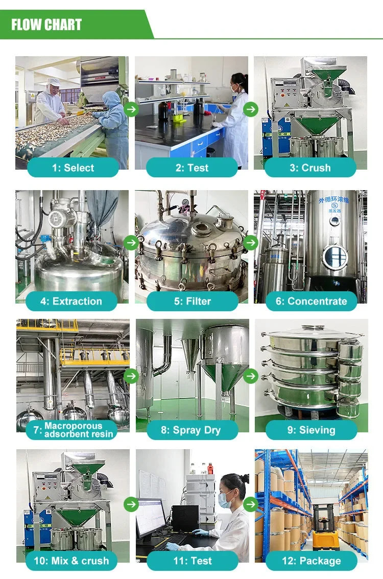 Global Customized Proportion Maitake Extract 20:1  Out Packing Aluminum Foil Bag/New Product