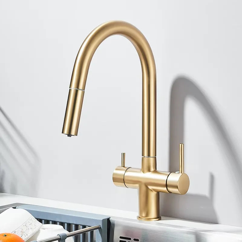 Pure Water Filter Kitchen Faucet Pull Out Flexible Kitchen Faucets Dual Handle Stainless Steel 2 in 1 Hot Cold Water Mixer Tap