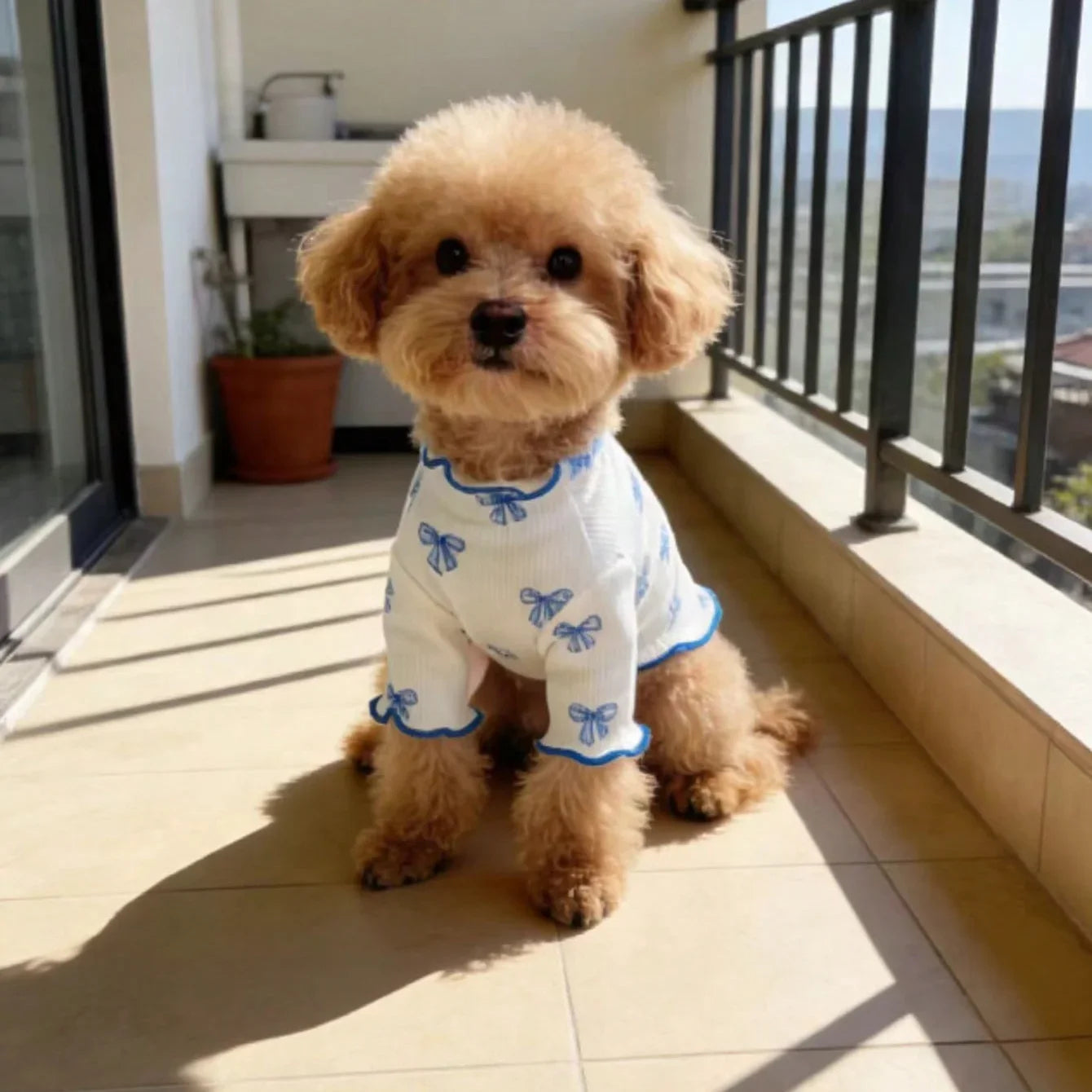 Cute dog in a stretchy, white knit pet shirt with blue bow print for comfortable, breathable everyday wear.