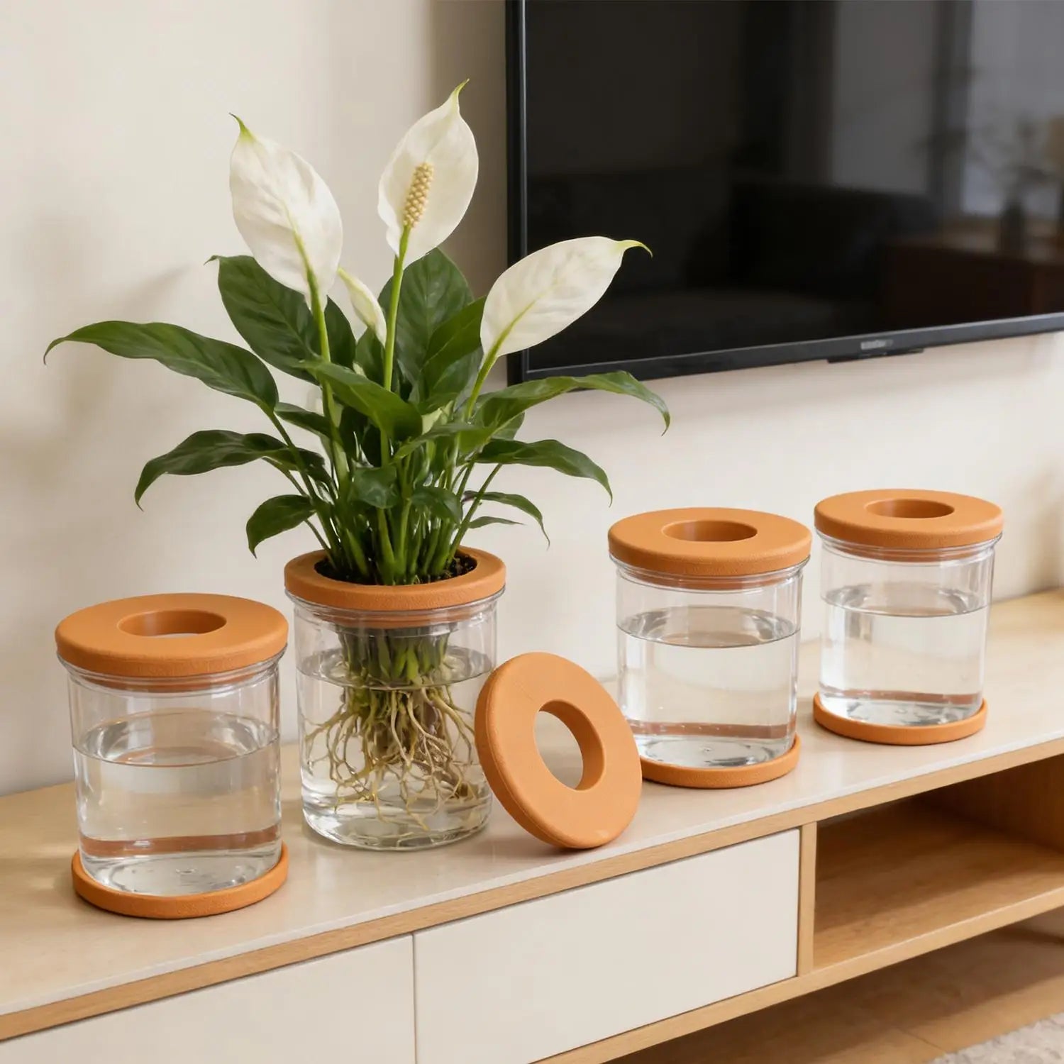 Transparent hydroponic plant pot containers with orange lids and non-slip bases, set on shelf