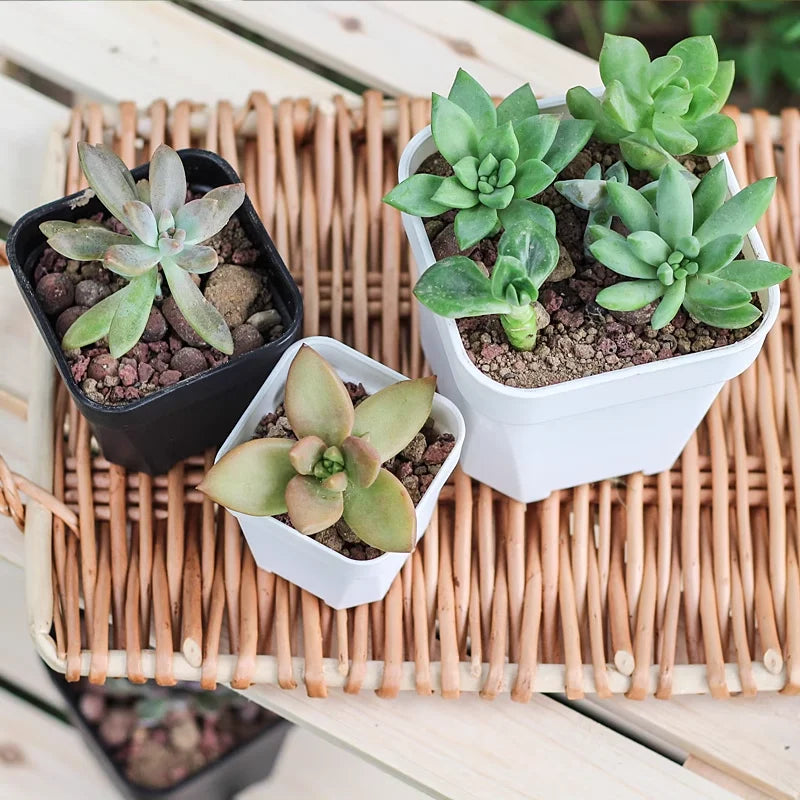 High Quality Thicken Flower Pots Succulents Plant Square Flowerpots Nursery Grow Container Cactus Pot & Planter Garden Supplies