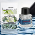 Tidesmit unisex alcohol-free perfume with rose and cedarwood, a long-lasting woody floral scent for romantic dates.