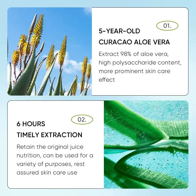 Aloe Lip Balm for Dry Lips: Natural Moisturizing Lip Treatment | Tidesmit Lip Care Tidesmit