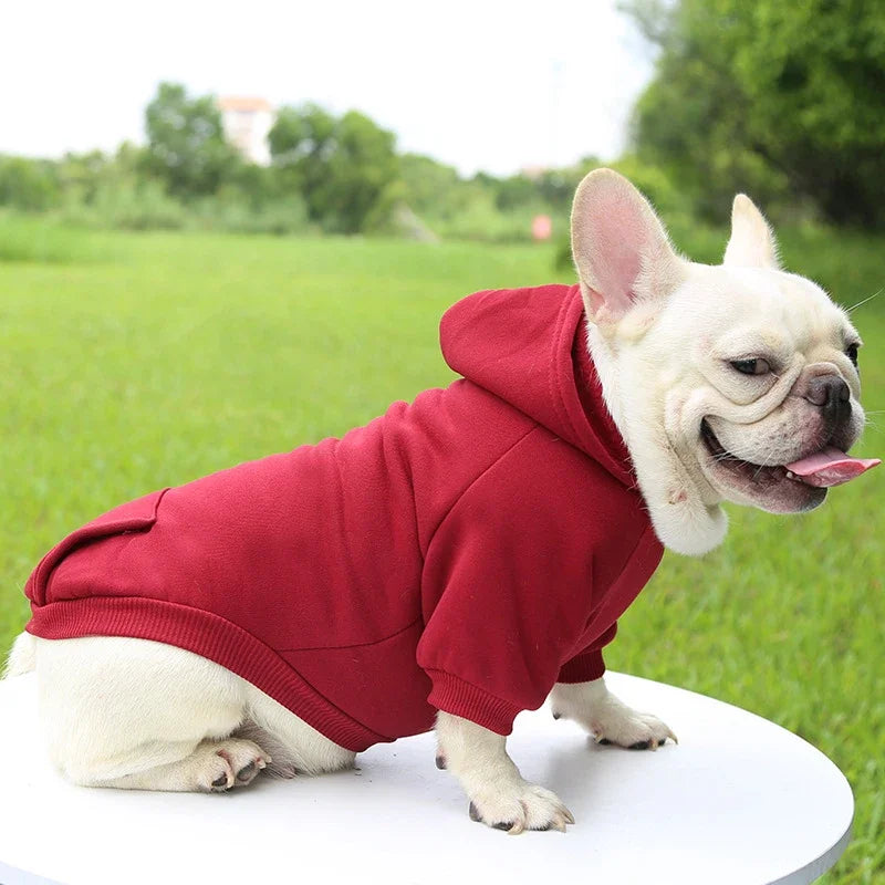 French bulldog wearing a warm, red hooded sweater for small dogs, perfect for autumn and winter comfort.