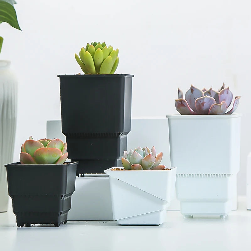 Meshpot Succulent Pot Plastic Flower Pot Cactus Lithops Planter Container Seedlings Nursery Garden Supplies Home Decoration