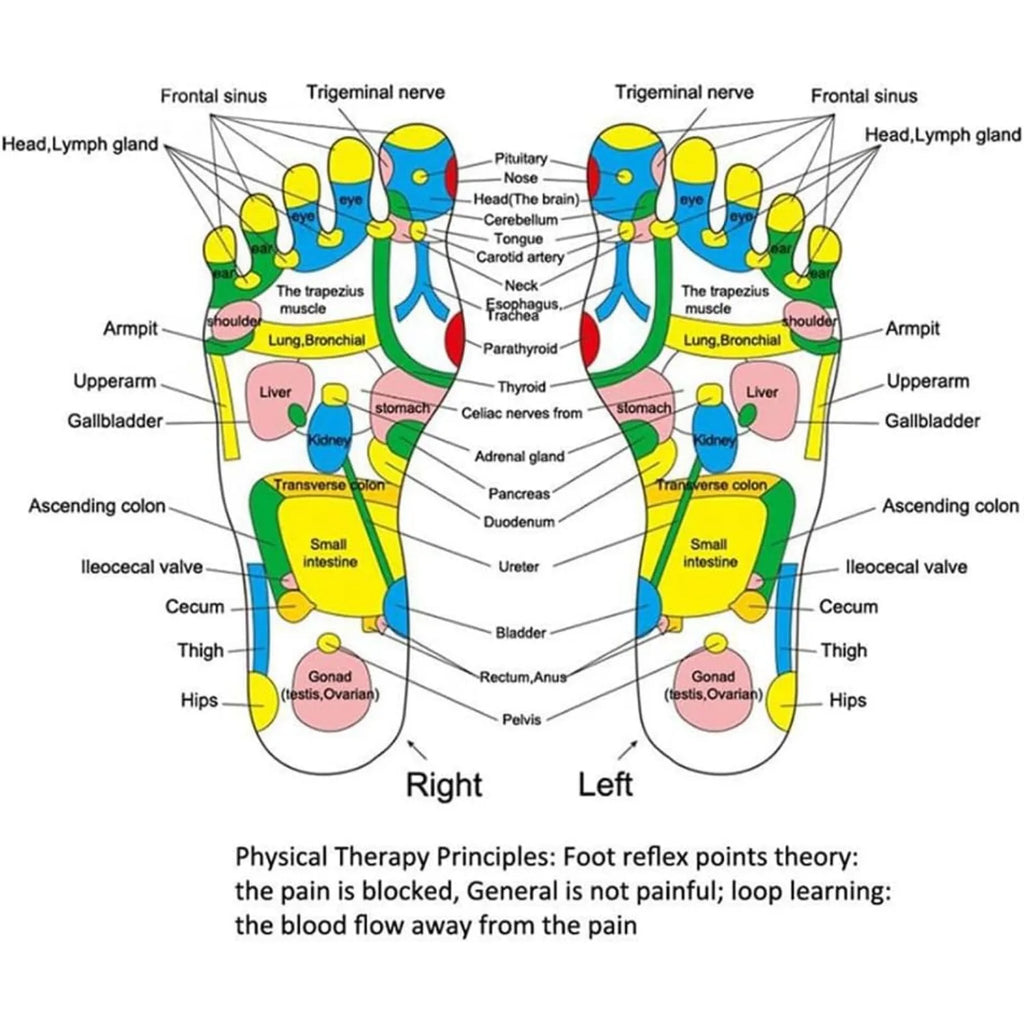 Acupressure foot reflexology chart showing colorful pressure points and health zones for massage pad therapy.