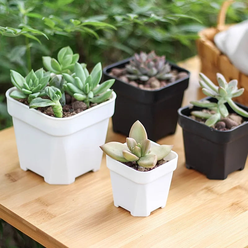 High Quality Thicken Flower Pots Succulents Plant Square Flowerpots Nursery Grow Container Cactus Pot & Planter Garden Supplies
