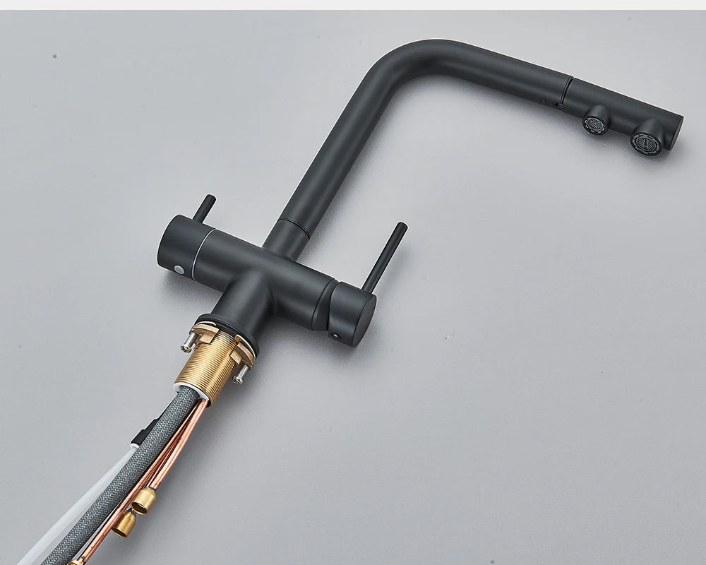 Black Water Purifier Kitchen Faucet 2 In 1 Pull Out Flexible Hot and Cold Water Mixer Tap with Filter Nozzle Faucets