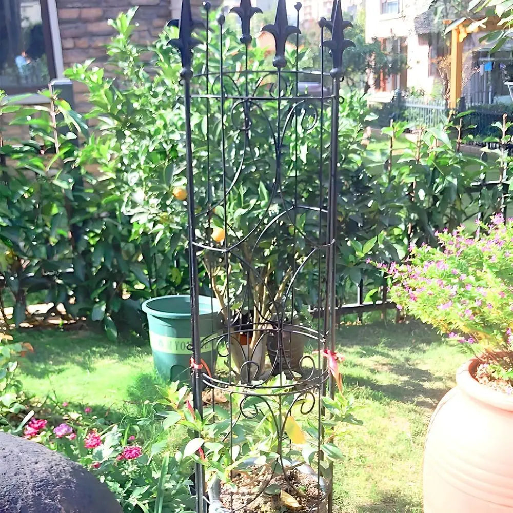 72H x 12W Indoor/Outdoor Potted Plants and Climbing Plants (Black)