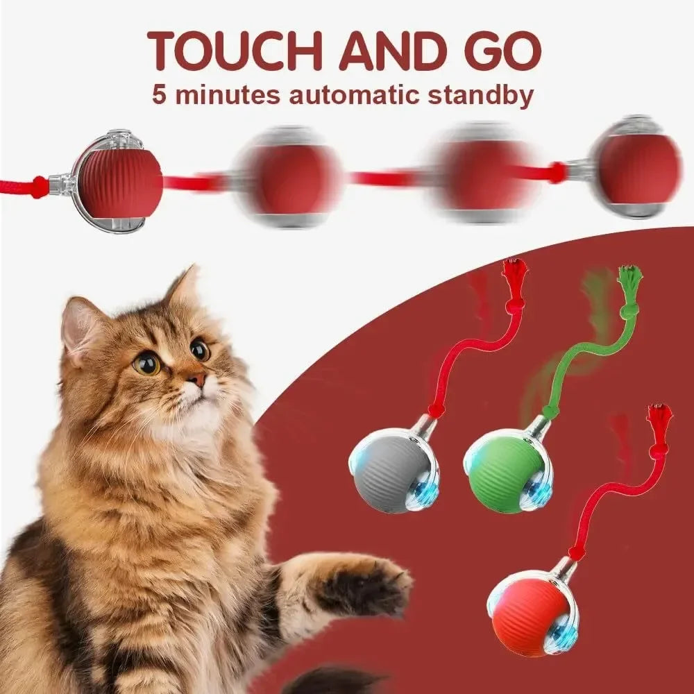 Smart interactive red, green, and gray ball toy for cats to play and exercise automatically. Rechargeable pet fun.