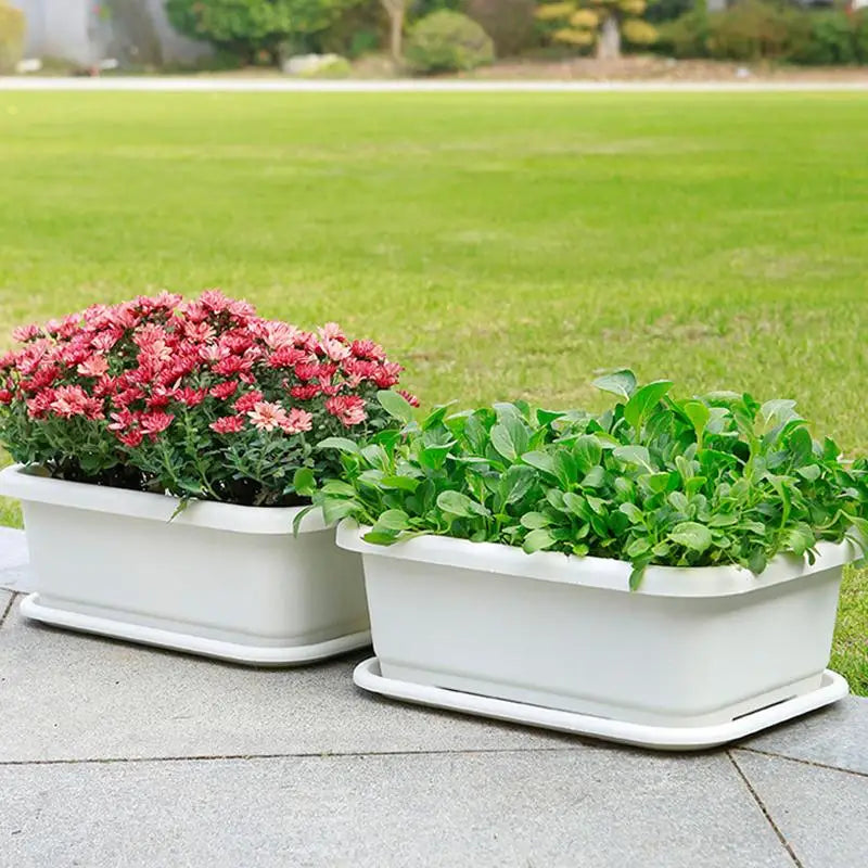 Two white rectangular planter pots with trays, filled with leafy plants