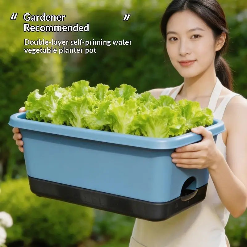 Blue rectangular self-watering planter box with drainage tray and planted lettuce greens
