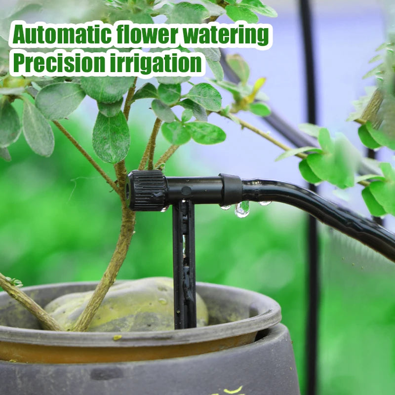 Black drip irrigation stake connected to tubing, watering a potted plant