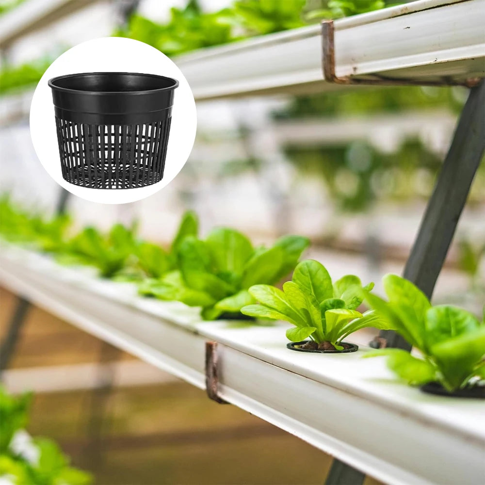 For Hydroponics Drainage Pots Flower Pot Indoor Gardening Setup As Shown Air Circulation Flower Pot Hydroponics