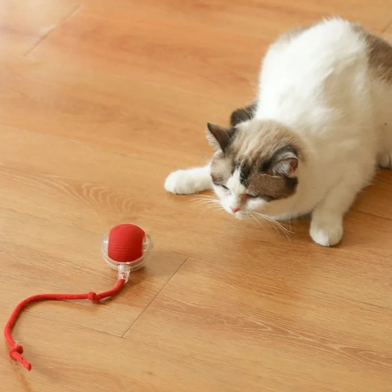 Cat playing with a red interactive smart ball toy for exercise and fun, automatic rolling design on wooden floor.