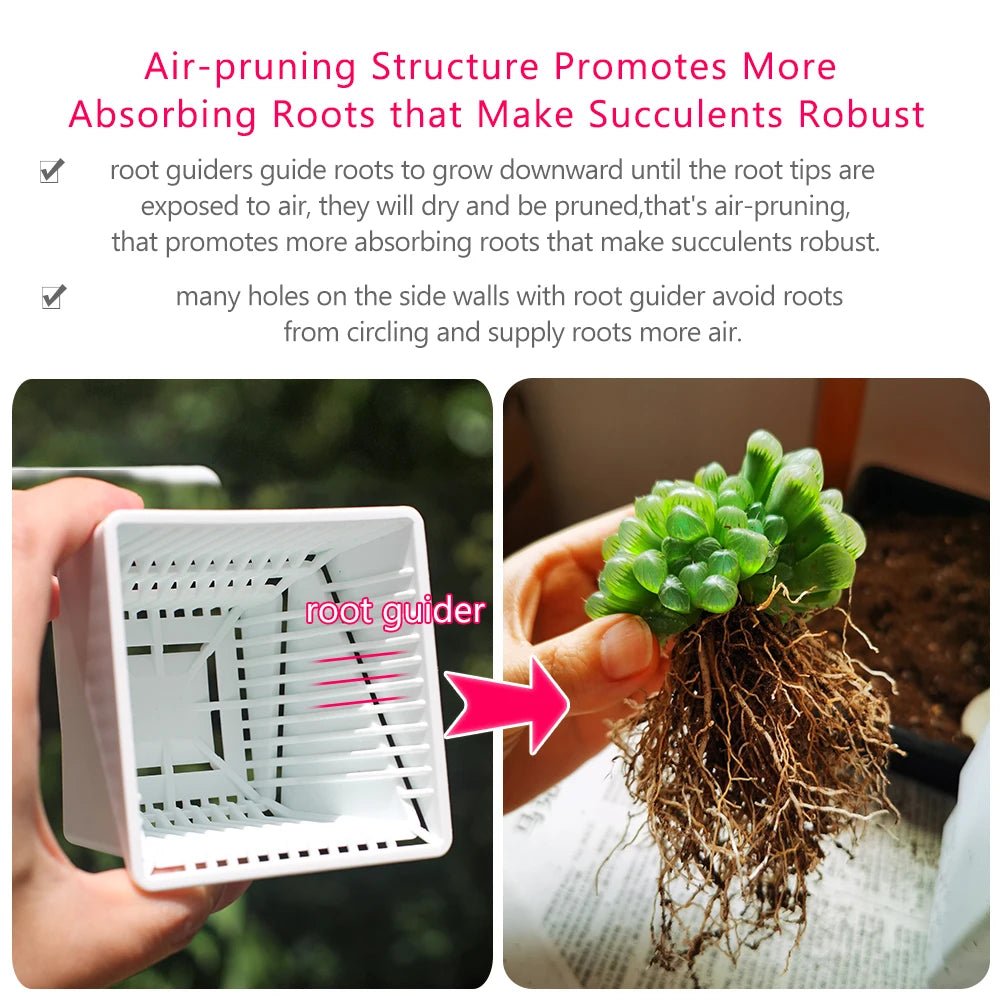 Meshpot Succulents Pots with Holes Cactus Lithops Plants Pot Seedlings Nursery Supplies Garden Kits Home Decoration