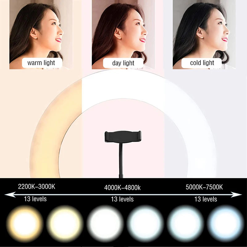 10-Inch LED Ring Light with Tripod – Adjustable Content Creation Lighting Tidesmit