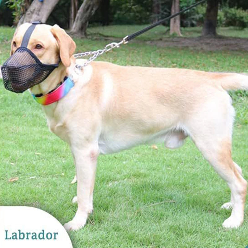 Adjustable black mesh dog muzzle for Labrador, breathable, anti-bite mask allows drinking and prevents licking.