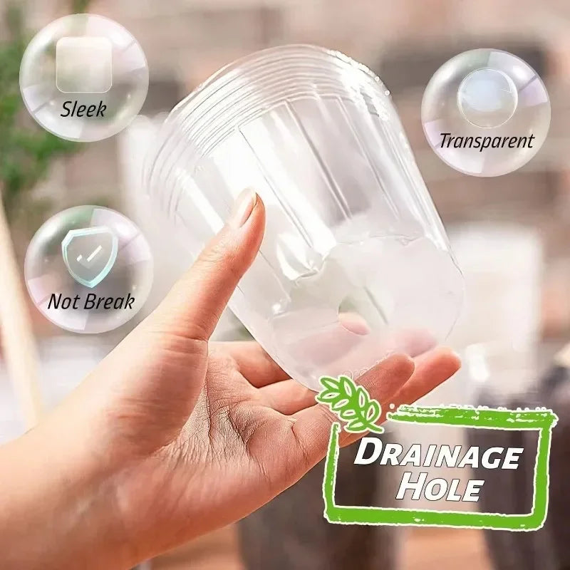 10/50PCS Transparent Seedling Pot Plants Nursery Pot Cups Gardening Transplantation Potted Flowerpot Planter Gardening Tools