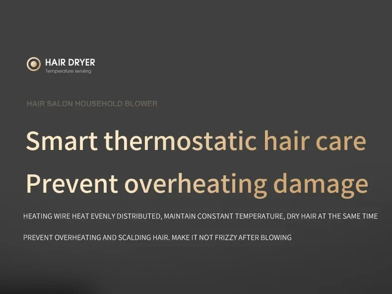 HOMEFISH 2000W professional salon hair dryer with smart thermostatic temperature sensing for frizz-free hair care.
