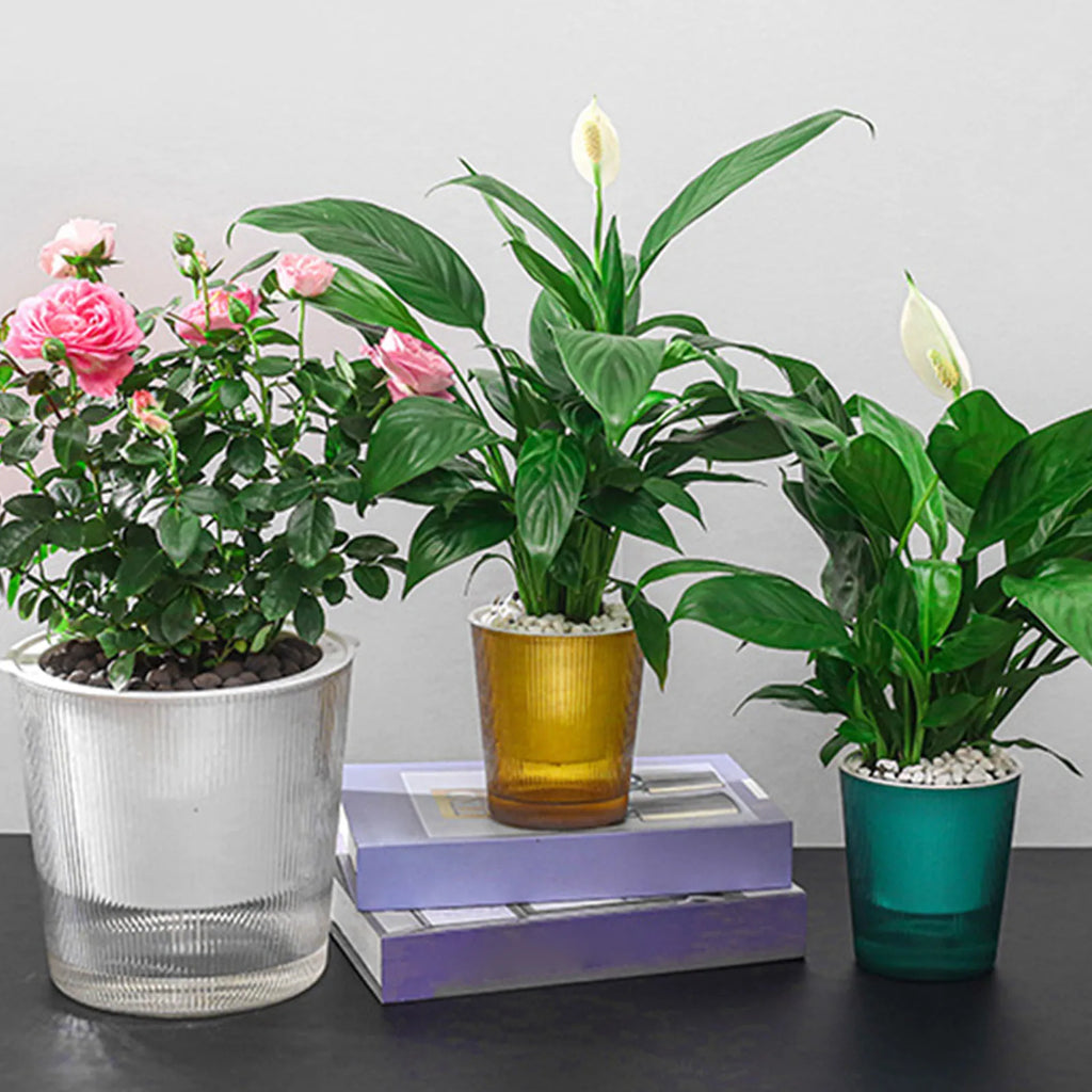 Clear Self Watering Planters Pots Household Anti Rot Self-Watering Planters for Living Room Plants Flowers Gardening Accessory