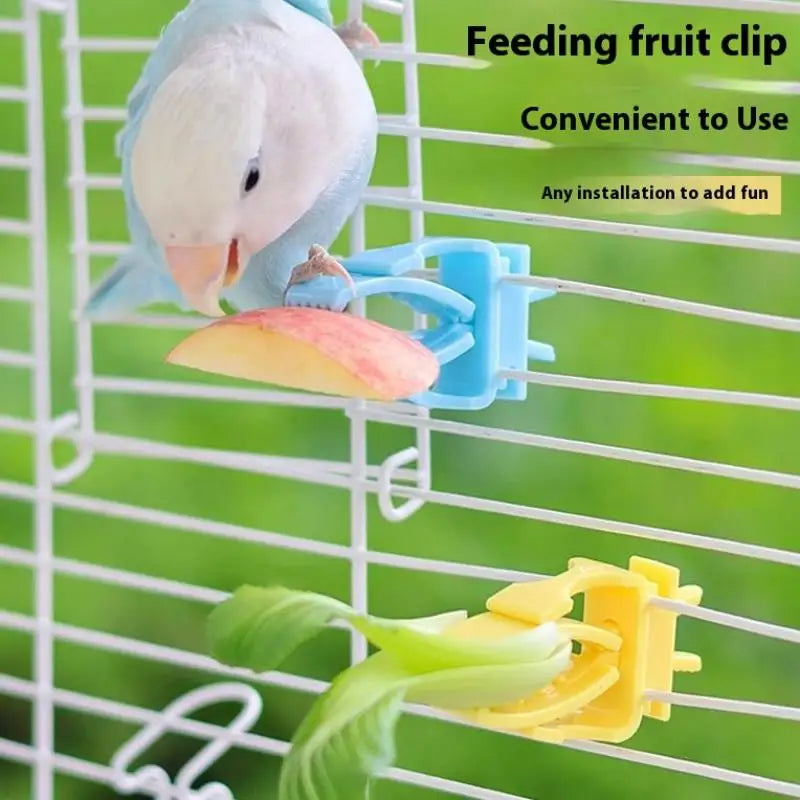 Blue and yellow plastic bird cage clips holding fruit and vegetables for easy parrot feeding and treat enrichment.
