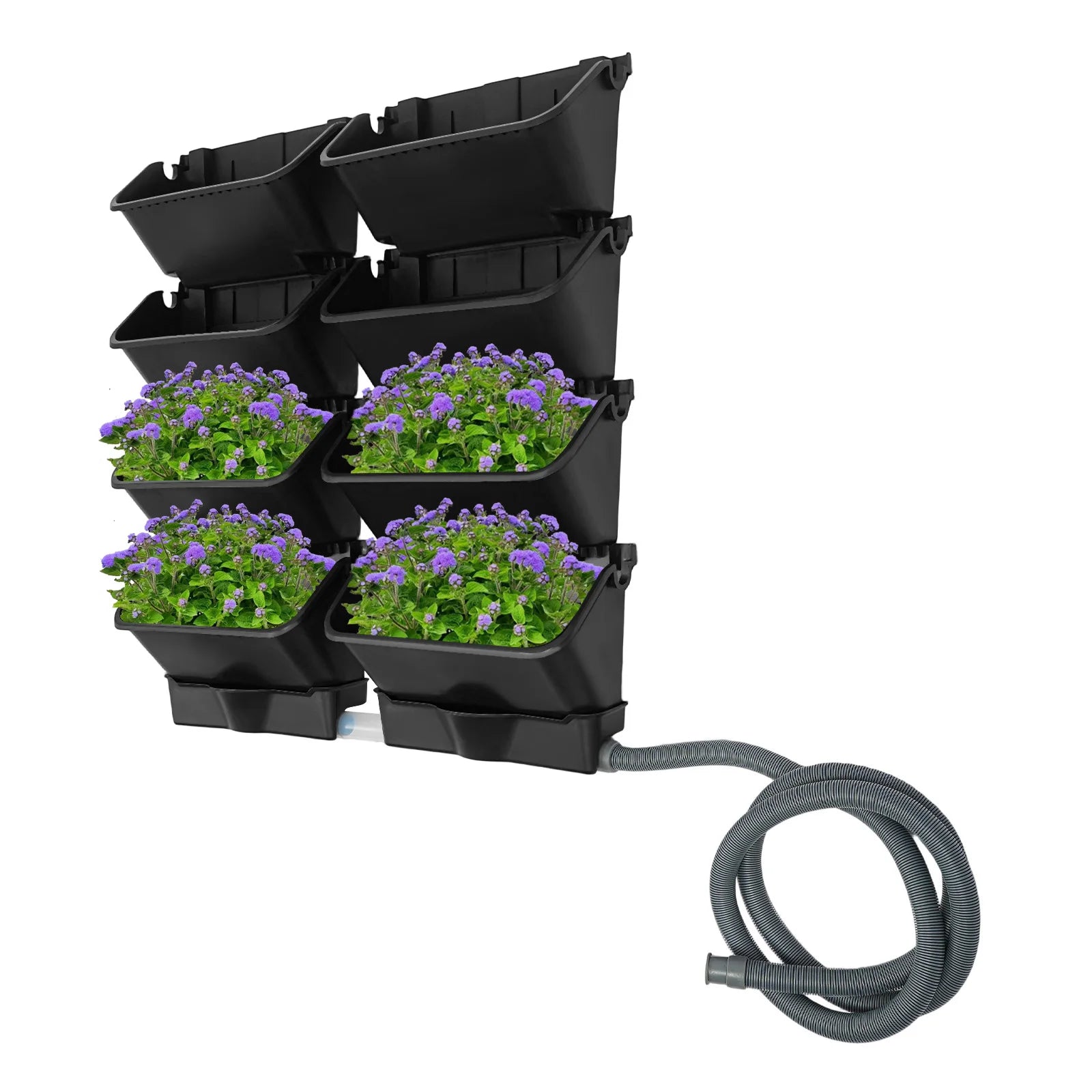 Vertical wall-mounted planter set with six black pockets and purple flower plants