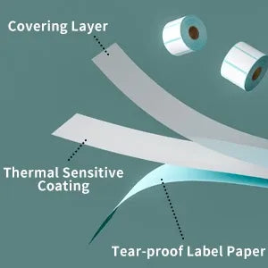 Thermal label layers diagram showing covering layer, thermal coating, and tear-proof paper