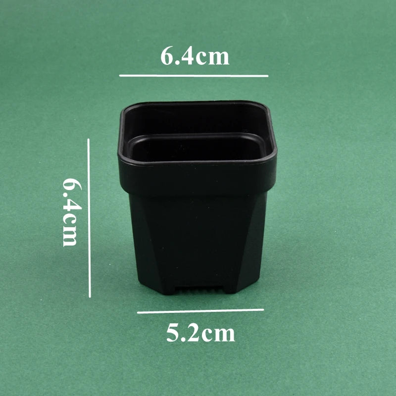 Black square flower pot planter for succulents, 6.4cm tall, 5.2cm wide