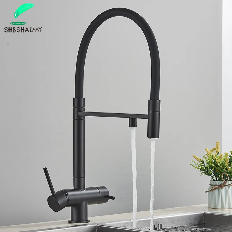 Filtered Kitchen Faucets Dual Spout Filter Faucet Mixer Pull Out Spray 360 Rotation Water Purification 3 Ways Sink Mixer Kitchen
